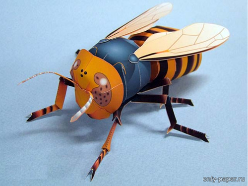 Сборная бумажная модель / scale paper model, papercraft Гигантский японский шершень / Japanese giant hornet 