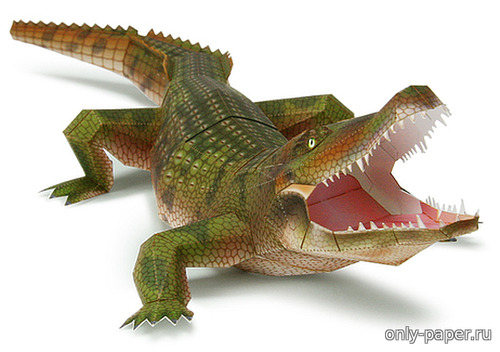 Сборная бумажная модель / scale paper model, papercraft Crocodile / Крокодил 
