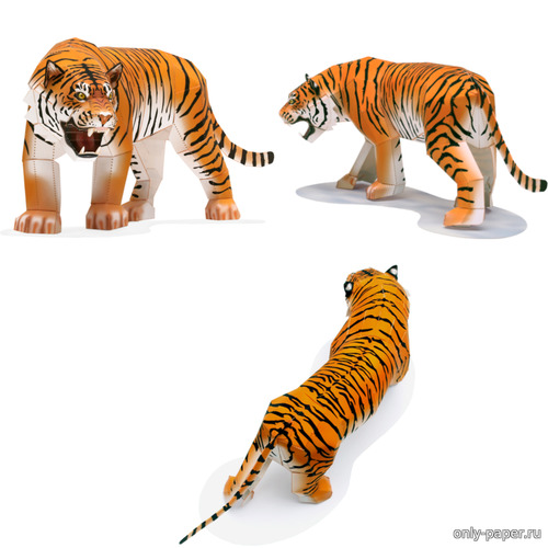 Сборная бумажная модель / scale paper model, papercraft Тигр / Tiger 