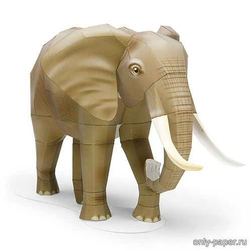 Сборная бумажная модель / scale paper model, papercraft Elefant / Слон 