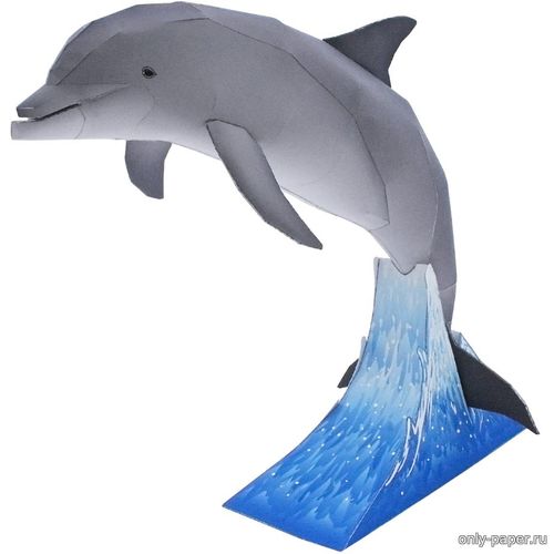 Сборная бумажная модель / scale paper model, papercraft Дельфин Афалина / Bottlenose Dolphin (Canon) 