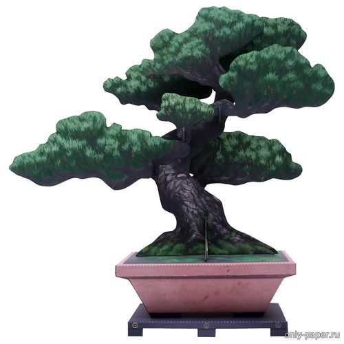 Сборная бумажная модель / scale paper model, papercraft Бонсай белая японская сосна / Bonsai Japanese White Pine (Canon) 