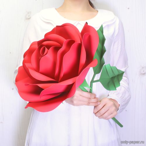 Сборная бумажная модель / scale paper model, papercraft Гигантская роза / Giant Rose (Canon) 