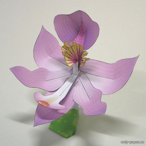 Модель орхидеи Калопогон, травяной розовый из бумаги/картона