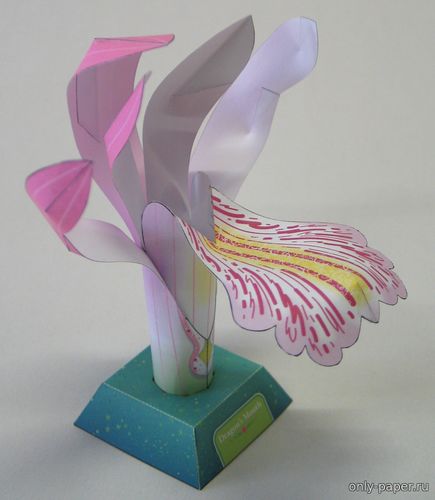 Модель орхидеи Пасть Дракона из бумаги/картона