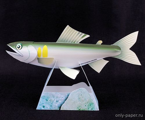 Модель рыбы Аю (айю) из бумаги/картона