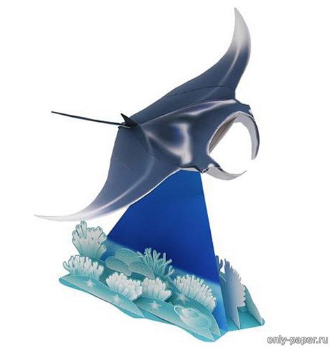 Сборная бумажная модель / scale paper model, papercraft Манта, морской дьявол (скат) / Manta ray (Canon) 
