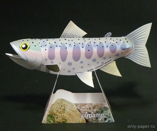 Модель рыбы Кунджи (Японской форели) из бумаги/картона