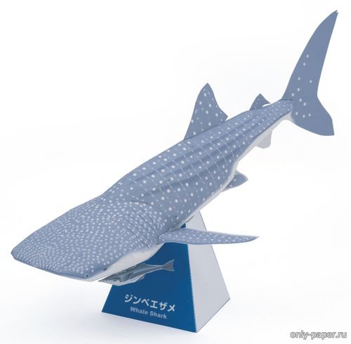 Модель китовой акулы из бумаги/картона