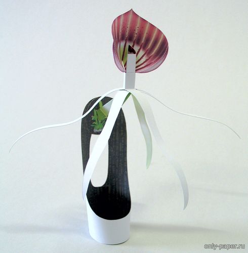 Сборная бумажная модель / scale paper model, papercraft Орхидея-раскладушка / Clamshell Orchid 