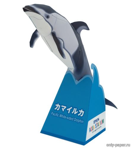 Сборная бумажная модель / scale paper model, papercraft Тихоокеанский дельфин / Pacific White-sided Dolphin 