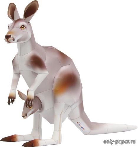 Модель кенгуру из бумаги/картона