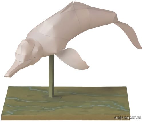 Модель белого речного дельфина из бумаги/картона