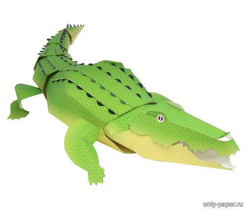 Модель крокодила из бумаги/картона