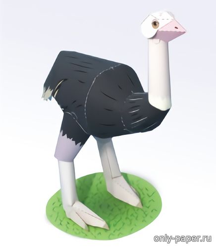 Модель страуса из бумаги/картона