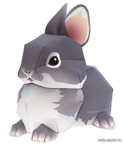 Модель карликового кролика из бумаги/картона