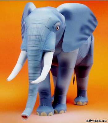 Сборная бумажная модель Африканский слон / African Elephant