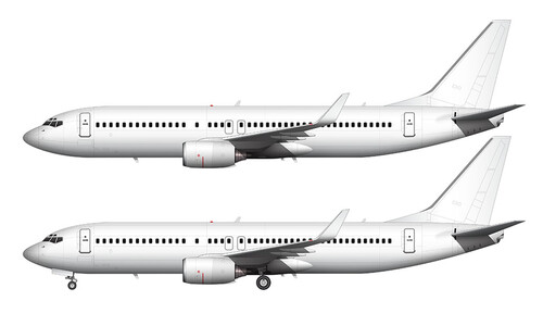 Сборная бумажная модель / scale paper model, papercraft Boeing-737-800 (Citycraft) 