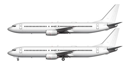 Сборная бумажная модель / scale paper model, papercraft Boeing-737-900ER (Citycraft) 