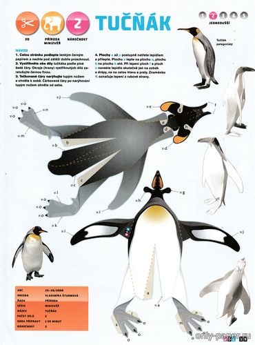 Модель пингвина из бумаги/картона