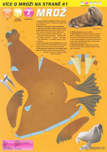 Модель тихоокеанского моржа из бумаги/картона