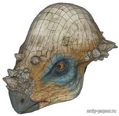 Модель маски пахицефалозавра из бумаги/картона