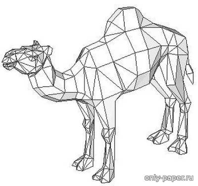 Модель верблюда из бумаги/картона