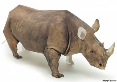 Сборная бумажная модель Черный носорог / Black rhinoceros