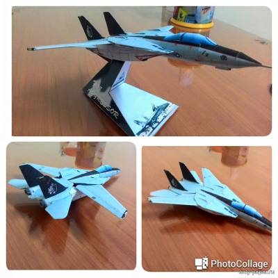 Модель самолета Grumman F-14A Tomcat из бумаги/картона