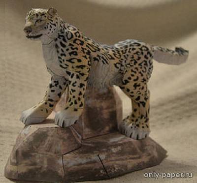 Сборная бумажная модель / scale paper model, papercraft Ирбис (снежный барс) / Snow Leopard / Uncia uncia (Zoo Tycoon 2) 