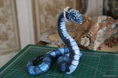 Сборная бумажная модель / scale paper model, papercraft Королевская змея (King's Bounty) [ArsenNonLupin] 