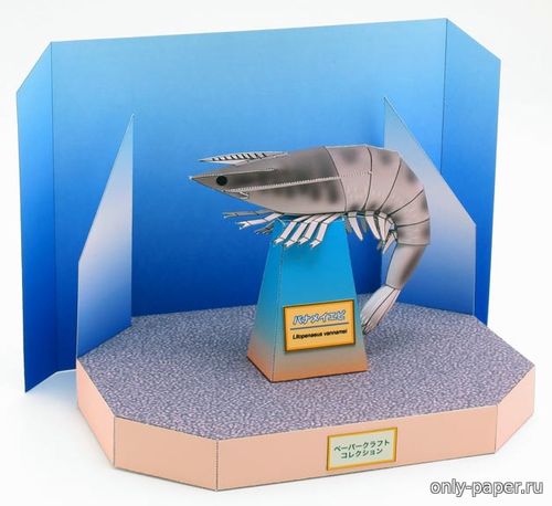 Сборная бумажная модель / scale paper model, papercraft Креветка / Shrimp 