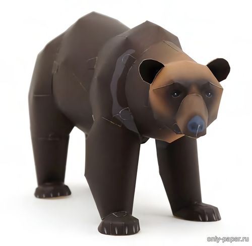 Модель Уссурийского бурого медведя из бумаги/картона
