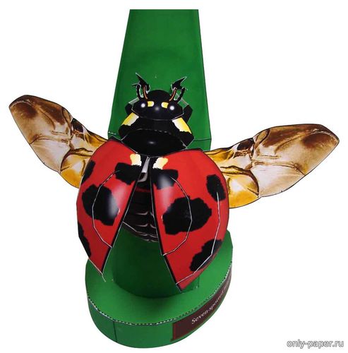Сборная бумажная модель / scale paper model, papercraft Семиточечная божья коровка / Seven-spotted Ladybug 