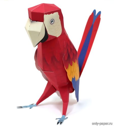 Модель красного попугая из бумаги/картона