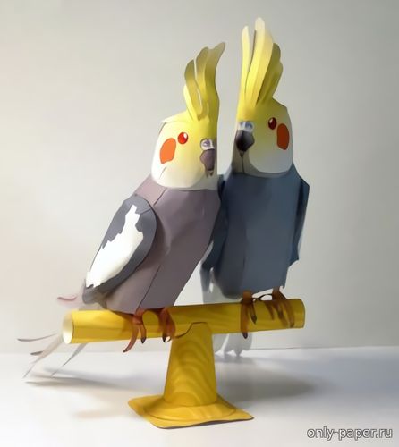 Модель попугая кореллы из бумаги/картона