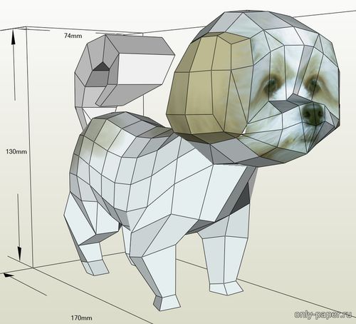 Модель щенка из бумаги/картона