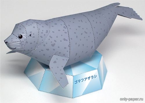 Модель пятнистого тюленя - ларги из бумаги/картона