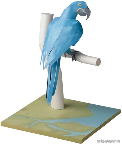 Модель попугая - Гиацинтовый ара из бумаги/картона