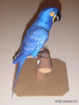 Сборная бумажная модель / scale paper model, papercraft Гиацинтовый ара / Hyacinth macaw 