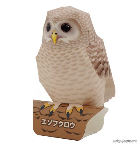 Модель уральской совы из бумаги/картона