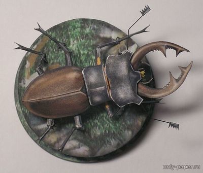 Модель жука-олень из бумаги/картона