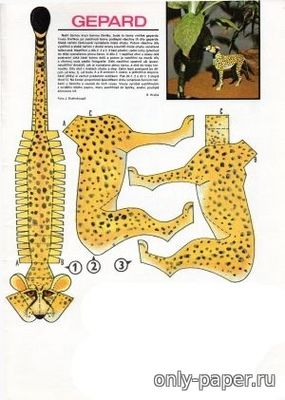 Модель гепарда из бумаги/картона