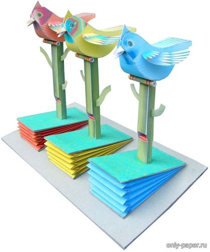 Модель птичьего органа из бумаги/картона