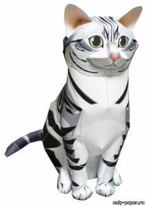 Модель американского короткошерстного кота из бумаги/картона