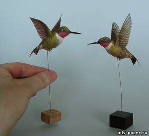Сборная бумажная модель / scale paper model, papercraft Колибри / Hummingbirds 