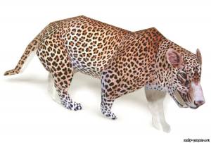 Модель ягуара из бумаги/картона