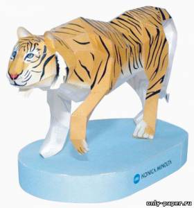 Сборная бумажная модель / scale paper model, papercraft Суматранский тигр / Sumatran tiger 